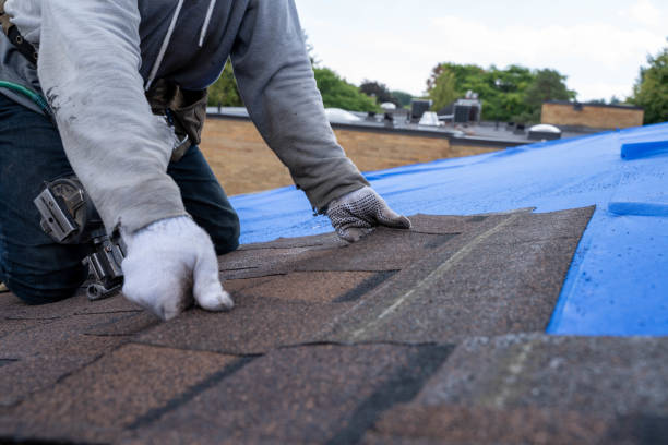 Quick and Trustworthy Emergency Roof Repair Services in Centreville, MS